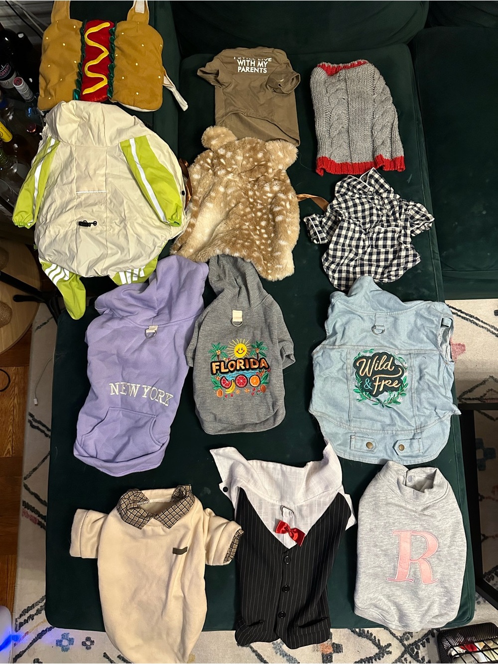 Pet clothes bundle (small dog)